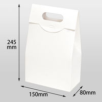 ヤマニパッケージ ハンディ-バッグLL 白　100枚(50×2) 16-228（直送品）