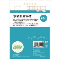 呉竹 フィス絵手紙　水彩紙はがき　２０枚入 KG204-807 10パック（直送品）