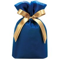 包む 巾着 オーガンジー BAG Sサイズ ブルー T-2803-S 1セット（5個）（直送品）