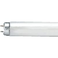 パナソニック 直管蛍光灯 40W ラピッドスタート形 電球色 パルック蛍光灯 FLR40SEXLMF3D 10本（直送品）