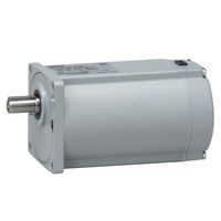 ニッセイ ギアモータ GFMN-22-300-S15T 1台（直送品）