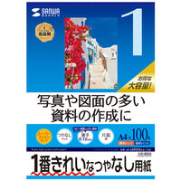 サンワサプライ インクジェット用スーパーファイン用紙　Ａ4サイズ1 JP-EM5NA4-100 1セット（5個）