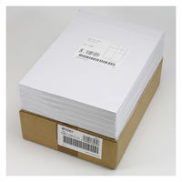 東洋印刷 ナナワード ワールドプライスラベル 白 A4 2面 1箱 WP00201（直送品）