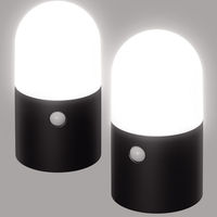 アイリスオーヤマ 乾電池式LEDガーデンセンサーライト　丸型 ZSL-MN1M-BKS2 1セット（2個入）