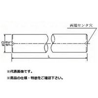 新潟理研測範 テストバー