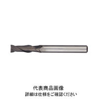 日進工具 ダイヤモンドコーティング2枚刃エンドミル DCSE235φ4 05-00035-00400 1本（直送品）