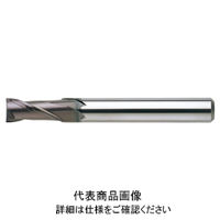 日進工具 無限コーティング 刃径表示 2枚刃エンドミル MSE230Mφ1X2.5 08-00105-00100 1本（直送品）