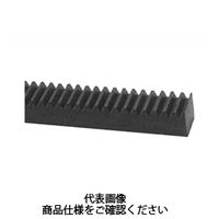 片山チエン ラックギヤ KCPF10-1500 1個（直送品）