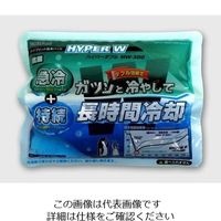 JEJアステージ 氷温パック 0.3kg ハイパ-W 1セット(10個) 1-8650-06（直送品）