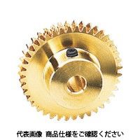 協育歯車工業 KG ウォームギヤ モジュール0.8 アルミニウム青銅鋳物(CAC702) G80A40-P-R1 1個 756-4724（直送品）
