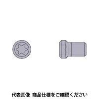 三菱マテリアル 三菱 切削工具用部品 クランプねじ CS200T 1個 259-2878（直送品）