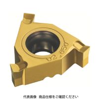 サンドビック (SANDVIK) コロスレッド254 サークリップ溝入れチップ