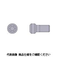 三菱マテリアル 三菱 切削工具用部品 クランプねじ TS21 1個 259-3785（直送品）