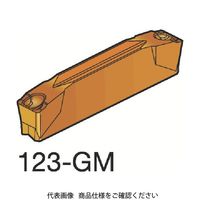 サンドビック コロカット2 突切り・溝入れチップ N123G2-0300-0003-GM 2135 172-3316（直送品）