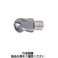 タンガロイ　エンドミル（ＫＪ）　　VBD100L07.0-BG-04S06:AH725　1セット（2箱入）　　（直送品）