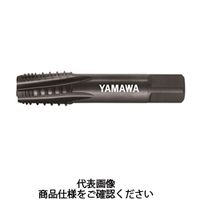 彌満和製作所 NPT左ねじれスパイラルタップT (HSS) INT SーNPT 1/4 ー 18 TISNT04O T S-NPT - 1本（直送品）