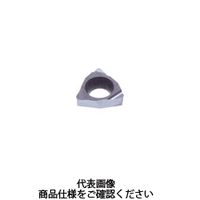 TACチップ（GB） WBGT030102L-W08:NS9530（直送品）