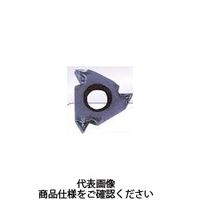 カーメックス　外径ねじ切チップ航空機産業用ＵＮＪ14山ＢＭＡ　11EL14UNJBMA　1セット（10個入）　　（直送品）