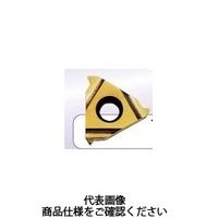 カーメックス　内径ねじ切チップ航空機産業用ＵＮＪ18山ＭＸＣ　11ER18UNJMXC　1セット（10個入）　　（直送品）