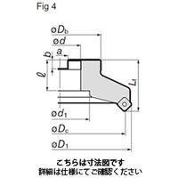 住友電工ハードメタル SEC- スミデュアルミル DGCM13160R 1台（直送品）