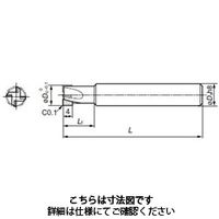 住友電工ハードメタル スミダイヤエンドミル DFE4090S:DA2200 1本（直送品）