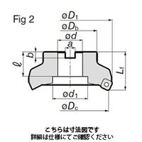 住友電工ハードメタル SEC- DNX（F）12000型 DNXF12125R 1台（直送品）