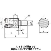 住友電工ハードメタル SEC-メタルスラッシュミル MSX12032M16Z2 1台（直送品）