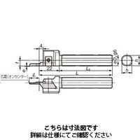 住友電工ハードメタル スミダイヤ極小径ボーリングバイト S19K-CKBR-16 1本（直送品）