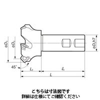 住友電工ハードメタル SEC-ウェーブミルWGC3000EW WGC3040EW 1台（直送品）