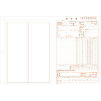 シンリョウ　二ツ折診療録/1171　001171　1箱（500枚入）　（取寄品）