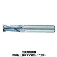 不二越(NACHI) 超硬スクエアエンドミル ＧＳミル 2枚刃 2GS 3.6 x S2 1本（直送品）