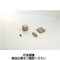 マグネットプラン ネオジュウム磁石 リング形 10個入り φ19×φ16×2.5 19X16X2.5 1セット（10個）（直送品）