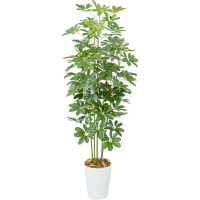 タカショー 人工観葉植物 シェフレラ 1.7m（直送品）