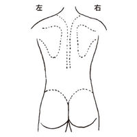 イマムラ 人体図型ゴム印（体・後向き） 06408 1箱（3個入） 24-3050-02（直送品）