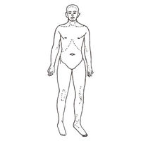 イマムラ 人体図型ゴム印 06421 1箱（3個入） 24-3050-03（直送品）