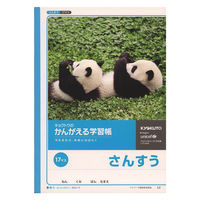日本ノート　かんがえる学習帳　さんすう　17マス　B5　L2