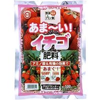 東商 あまーいイチゴ肥料　500g 4905832016419 1個（直送品）