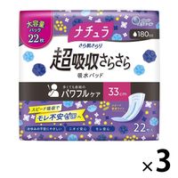 ナチュラ 吸水ケア さら肌さらり超吸収さらさら吸水パッド エリエール 大王製紙