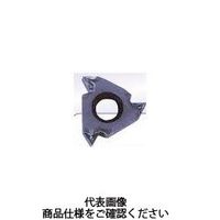 CarmexDSI両面切刃付、NPT外径ねじ切チップ60°