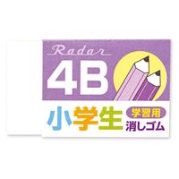 シード レーダー学習用４Ｂバイオレット EP-4RG-V 30個（直送品）