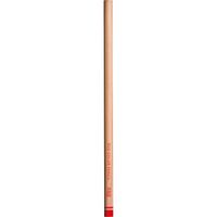 トンボ鉛筆 色鉛筆Ｓ木物語単色２５赤 CB-RS25 1本