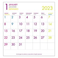 エトランジェ・ディ・コスタリカ 【2023版】CD 卓上カレンダー CLS-CD-03 1セット（3冊）（直送品）