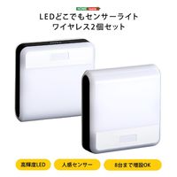 ホームテイスト ワイヤレスセンサーライト2個入り SH-17-ML06 1台（直送品）