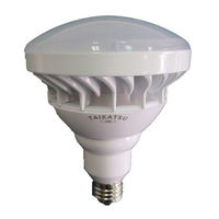 鯛勝産業 LEDランプ 20W TK-LED200LP 1個（直送品）