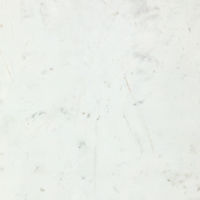 フクビ化学工業 壁面化粧パネル アルパレージ 910×2000mm S04 AP20S04 1梱包（2枚入）（直送品）