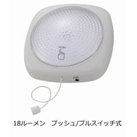 オーム電機 LED大型プッシュライト プルスイッチ付 白色LED BO-LB20A5（直送品）