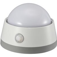 オーム電機 LEDプッシュライト センサー 明暗＋人感 白色LED 電池式 NIT-BLA6JD-WN 1個