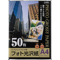 オーム電機 フォト光沢紙 A4版 50枚入り PA-PHG-A4/50（直送品）
