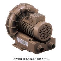 テラル（TERAL） リングブロワVFZ-AN型三相低騒音形（トップランナー効率電動機搭載品）