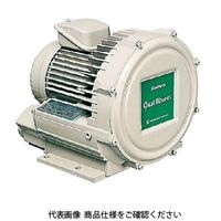 昭和電機 渦流式高圧シリーズ（ガストブロア） U2V-10S 1個（直送品）